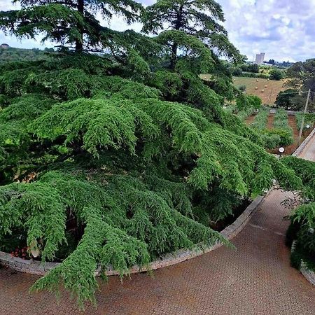 Casina Foggia Dell'Albero Apartment Putignano Ngoại thất bức ảnh