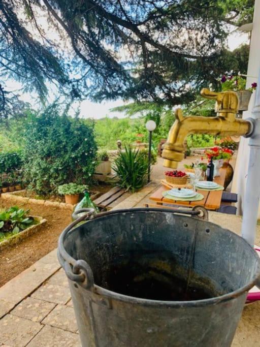 Casina Foggia Dell'Albero Apartment Putignano Ngoại thất bức ảnh