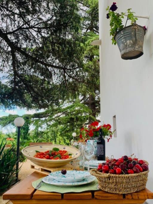 Casina Foggia Dell'Albero Apartment Putignano Ngoại thất bức ảnh