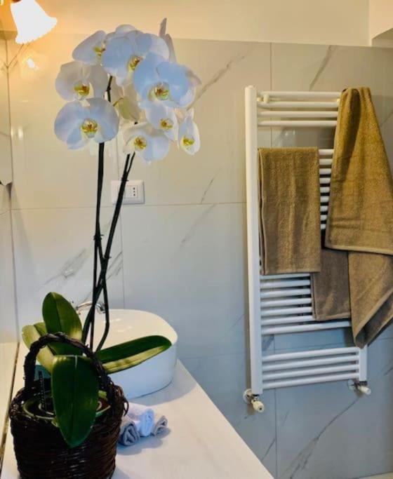 Casina Foggia Dell'Albero Apartment Putignano Ngoại thất bức ảnh