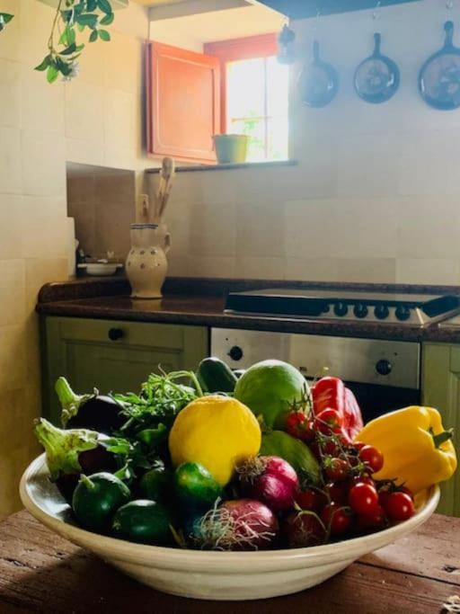 Casina Foggia Dell'Albero Apartment Putignano Ngoại thất bức ảnh